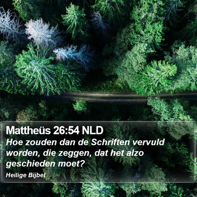 Mattheüs 26:54 NLD Bible Verse Image