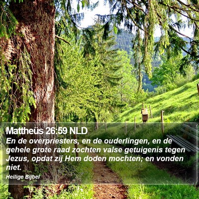Mattheüs 26:59 NLD Bible Verse Image