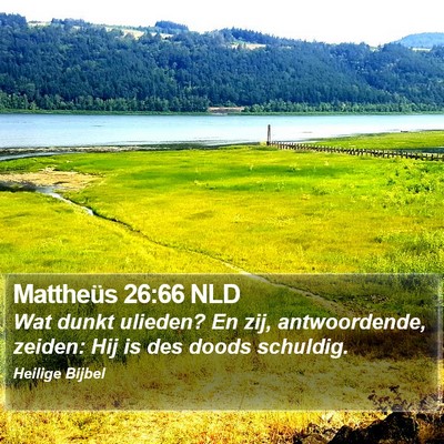 Mattheüs 26:66 NLD Bible Verse Image
