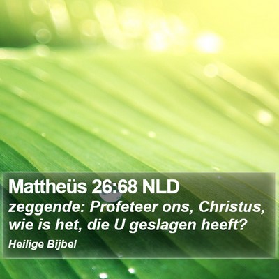 Mattheüs 26:68 NLD Bible Verse Image