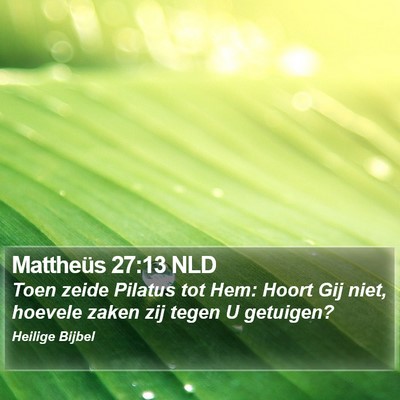 Mattheüs 27:13 NLD Bible Verse Image