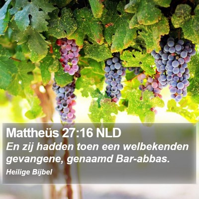 Mattheüs 27:16 NLD Bible Verse Image