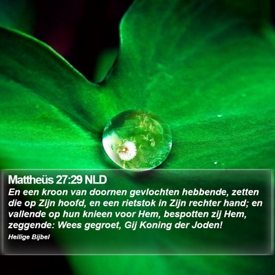 Mattheüs 27:29 NLD Bible Verse Image