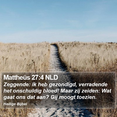 Mattheüs 27:4 NLD Bible Verse Image