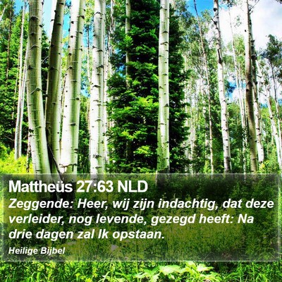 Mattheüs 27:63 NLD Bible Verse Image