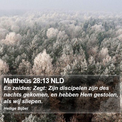 Mattheüs 28:13 NLD Bible Verse Image