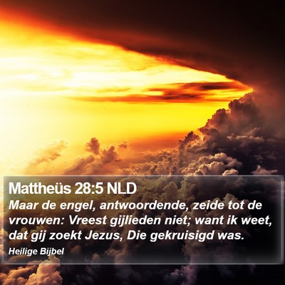 Mattheüs 28:5 NLD Bible Verse Image