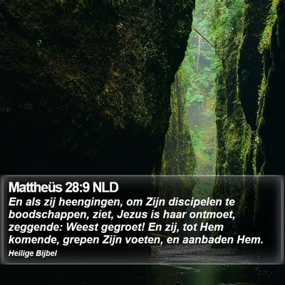 Mattheüs 28:9 NLD Bible Verse Image