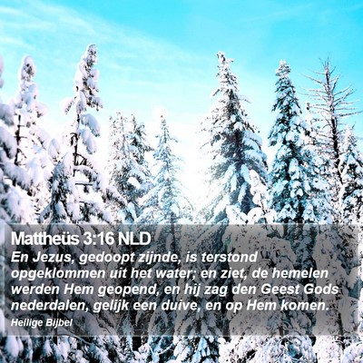 Mattheüs 3:16 NLD Bible Verse Image