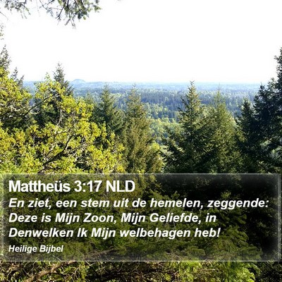 Mattheüs 3:17 NLD Bible Verse Image