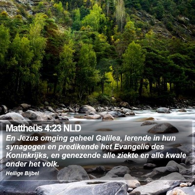 Mattheüs 4:23 NLD Bible Verse Image
