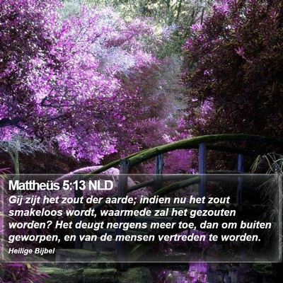 Mattheüs 5:13 NLD Bible Verse Image