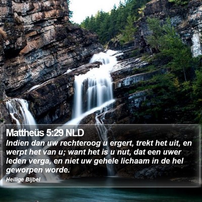 Mattheüs 5:29 NLD Bible Verse Image