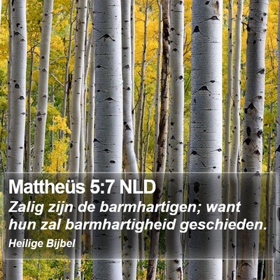 Mattheüs 5:7 NLD Bible Verse Image