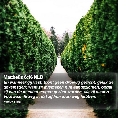 Mattheüs 6:16 NLD Bible Verse Image