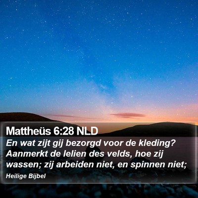 Mattheüs 6:28 NLD Bible Verse Image