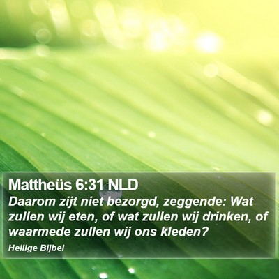 Mattheüs 6:31 NLD Bible Verse Image