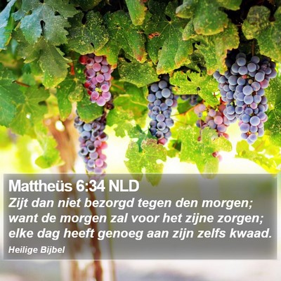 Mattheüs 6:34 NLD Bible Verse Image
