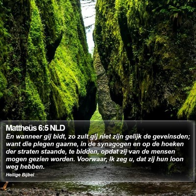 Mattheüs 6:5 NLD Bible Verse Image