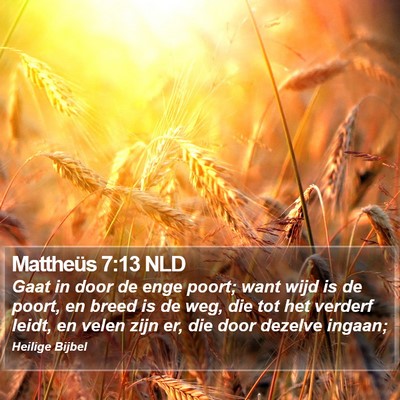 Mattheüs 7:13 NLD Bible Verse Image