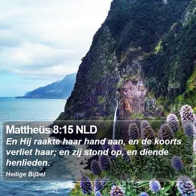 Mattheüs 8:15 NLD Bible Verse Image