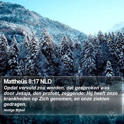 Mattheüs 8:17 NLD Bible Verse Image