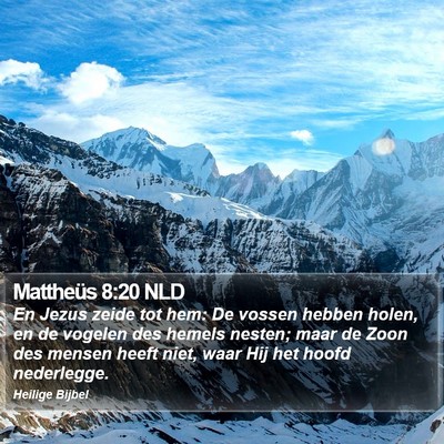 Mattheüs 8:20 NLD Bible Verse Image