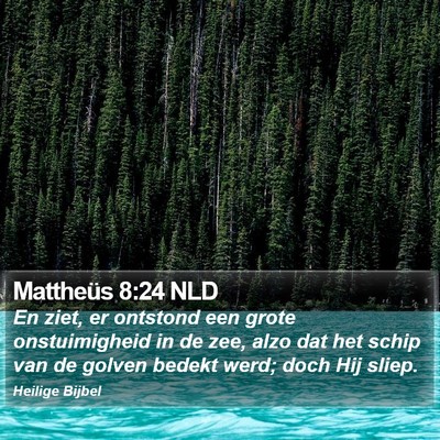 Mattheüs 8:24 NLD Bible Verse Image