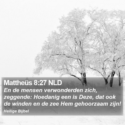 Mattheüs 8:27 NLD Bible Verse Image