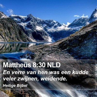 Mattheüs 8:30 NLD Bible Verse Image