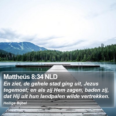 Mattheüs 8:34 NLD Bible Verse Image