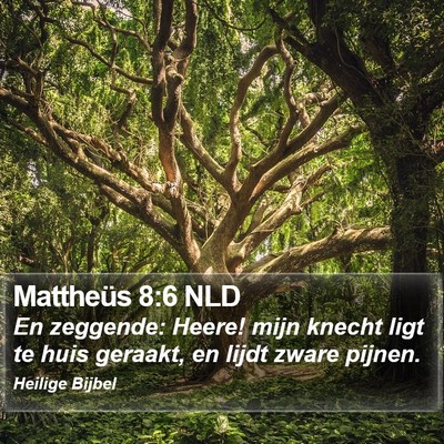 Mattheüs 8:6 NLD Bible Verse Image