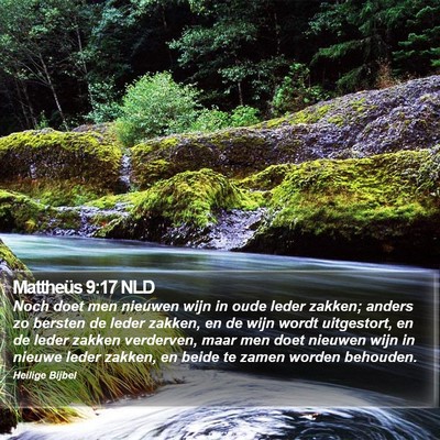 Mattheüs 9:17 NLD Bible Verse Image