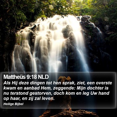 Mattheüs 9:18 NLD Bible Verse Image