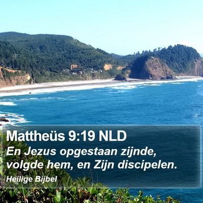 Mattheüs 9:19 NLD Bible Verse Image