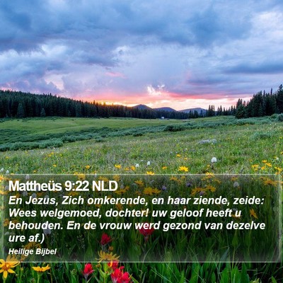 Mattheüs 9:22 NLD Bible Verse Image