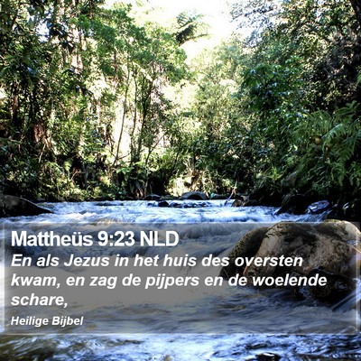 Mattheüs 9:23 NLD Bible Verse Image