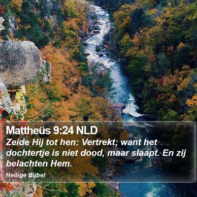 Mattheüs 9:24 NLD Bible Verse Image