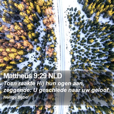 Mattheüs 9:29 NLD Bible Verse Image