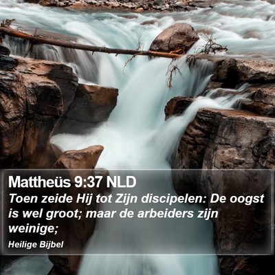 Mattheüs 9:37 NLD Bible Verse Image