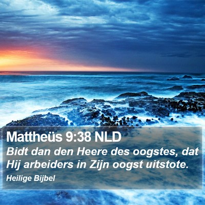Mattheüs 9:38 NLD Bible Verse Image