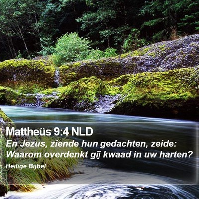 Mattheüs 9:4 NLD Bible Verse Image