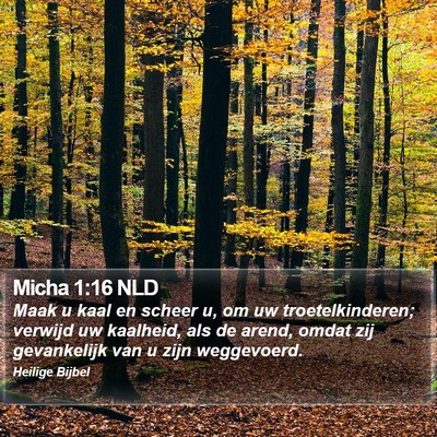 Micha 1:16 NLD Bible Verse Image