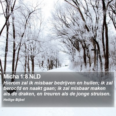 Micha 1:8 NLD Bible Verse Image