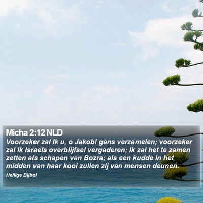 Micha 2:12 NLD Bible Verse Image
