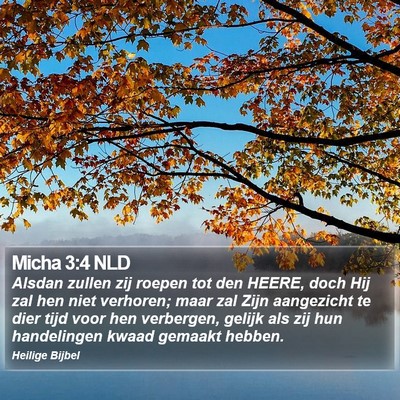 Micha 3:4 NLD Bible Verse Image