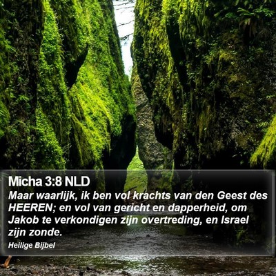 Micha 3:8 NLD Bible Verse Image