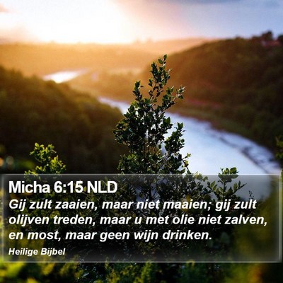 Micha 6:15 NLD Bible Verse Image