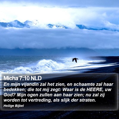 Micha 7:10 NLD Bible Verse Image