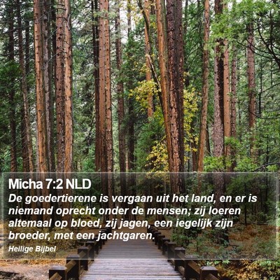 Micha 7:2 NLD Bible Verse Image